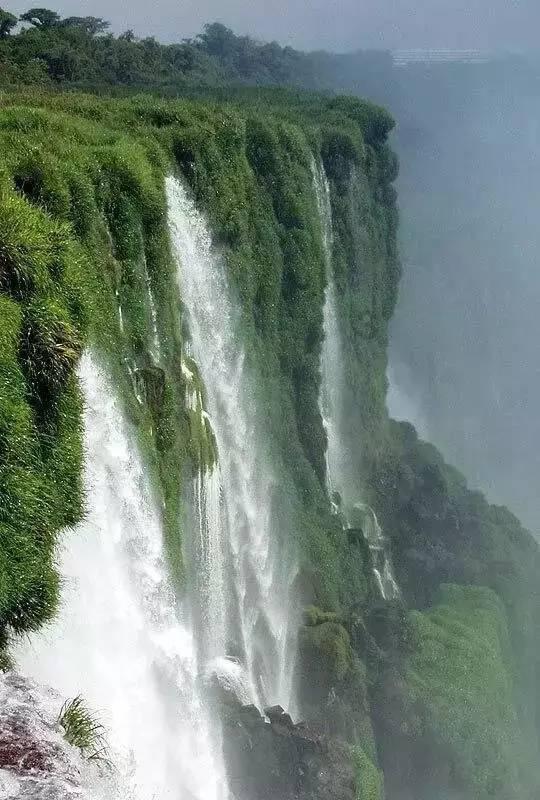 清炖鱼头汤怎么做又浓又白游戏画面