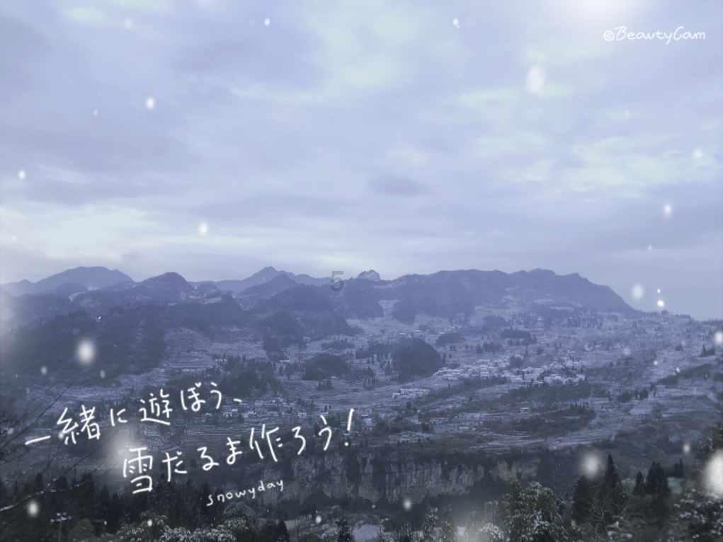 救援鹦鹉