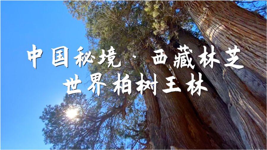君有易道茶｜古人是怎么用持续沸腾的水来泡茶的？