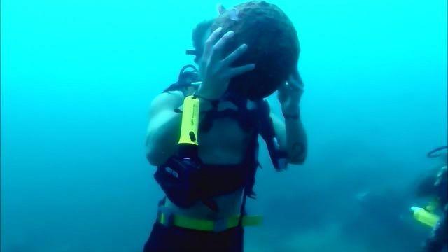 山东广播电视台超写实手语数字主持人！海蓝解锁新身份