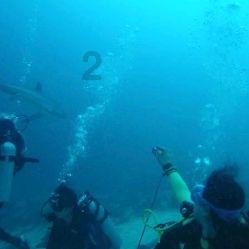民间故事：木匠进山砍树，杀死一头巨狼，他三天后须发皆白