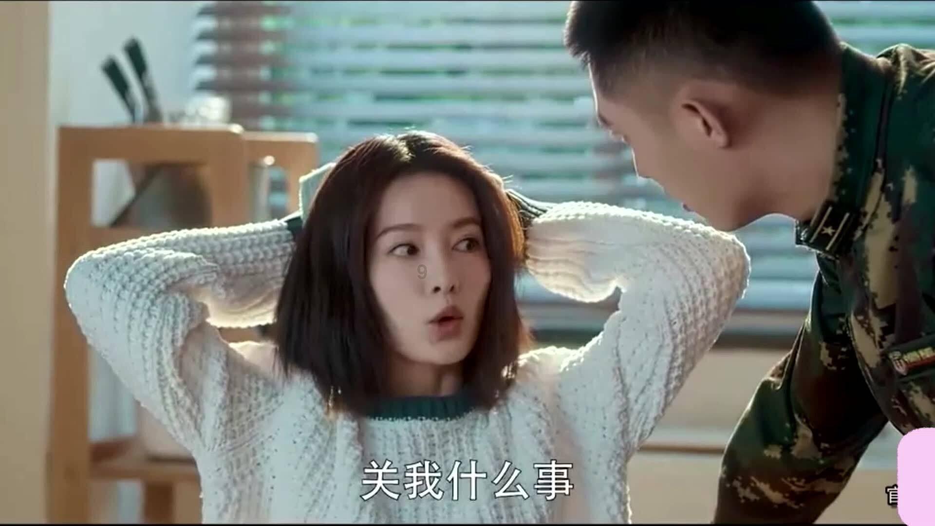 眼镜蛇秘密行动
