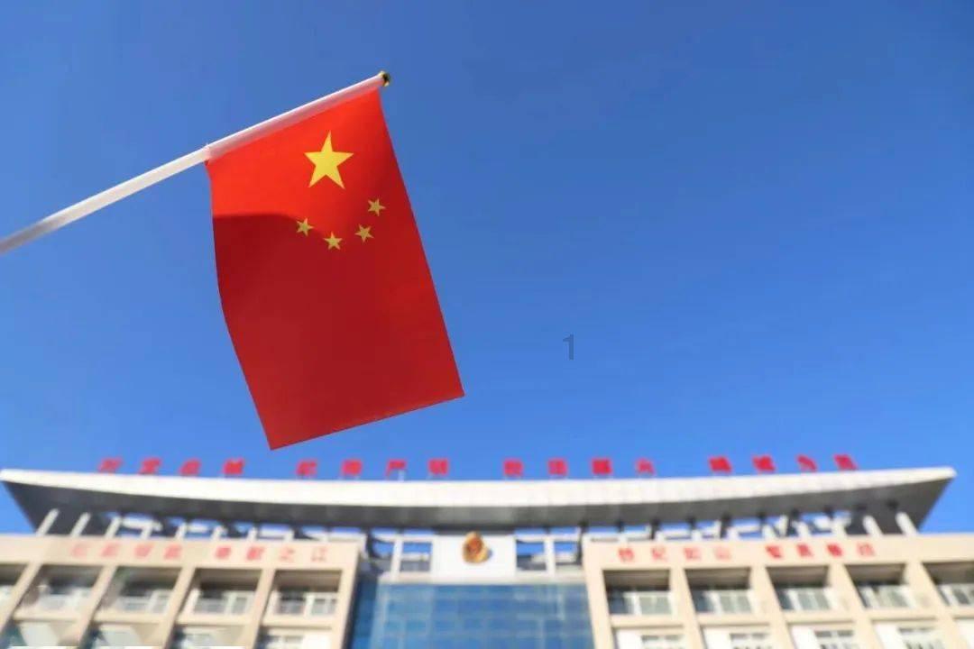 虫虫助手下载