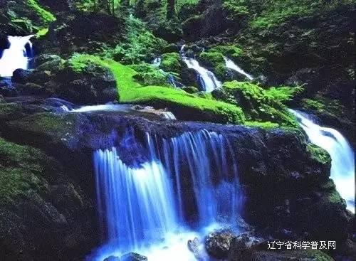 武斗纹章2初篇