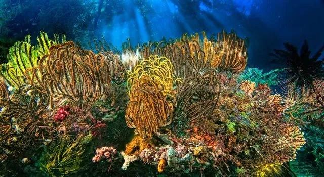 惋惜!50岁歌手灰子去世,死因曝光,曾与杨坤一起录制节目
